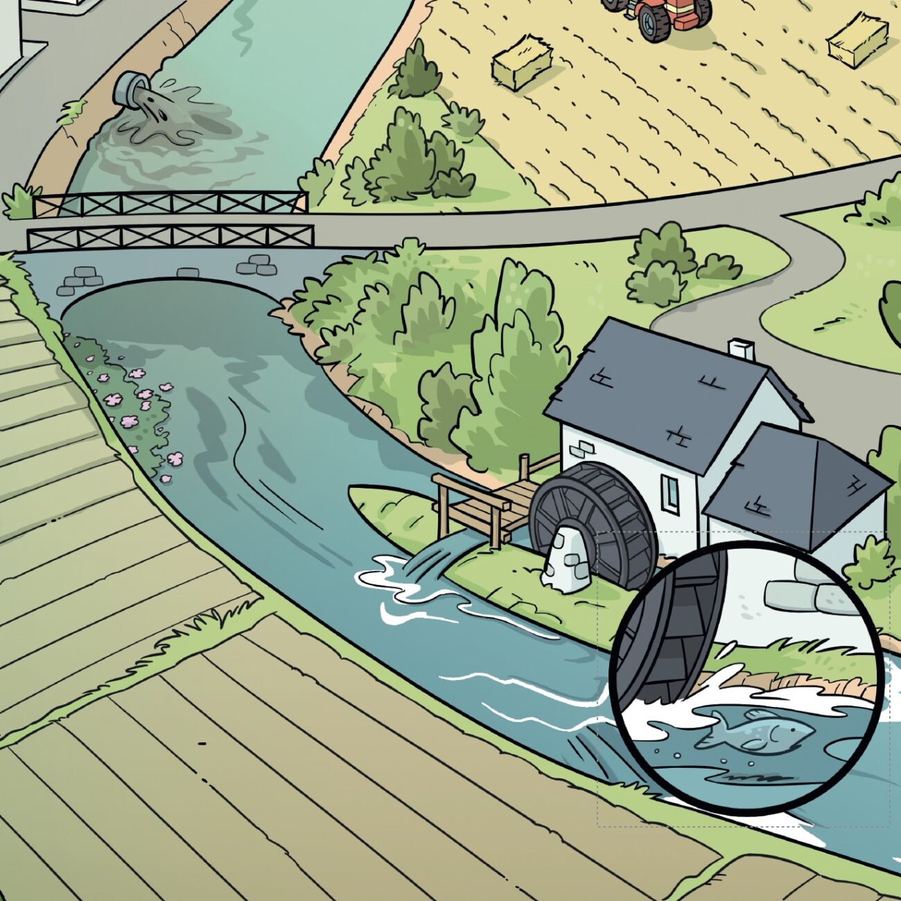 SMB- CISSE - Panneaux "Impact des activités humaines sur les rivières" - VIgnette- Corporate FIction